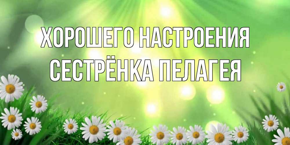 Открытка на каждый день с именем, Сестрёнка-Пелагея Хорошего настроения открытка с ромашками и солнечными лучами Прикольная открытка с пожеланием онлайн скачать бесплатно 