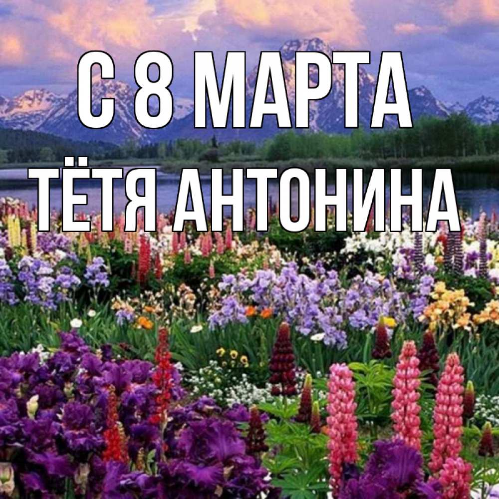 Открытка на каждый день с именем, Тётя-Антонина С 8 МАРТА международный женский день Прикольная открытка с пожеланием онлайн скачать бесплатно 