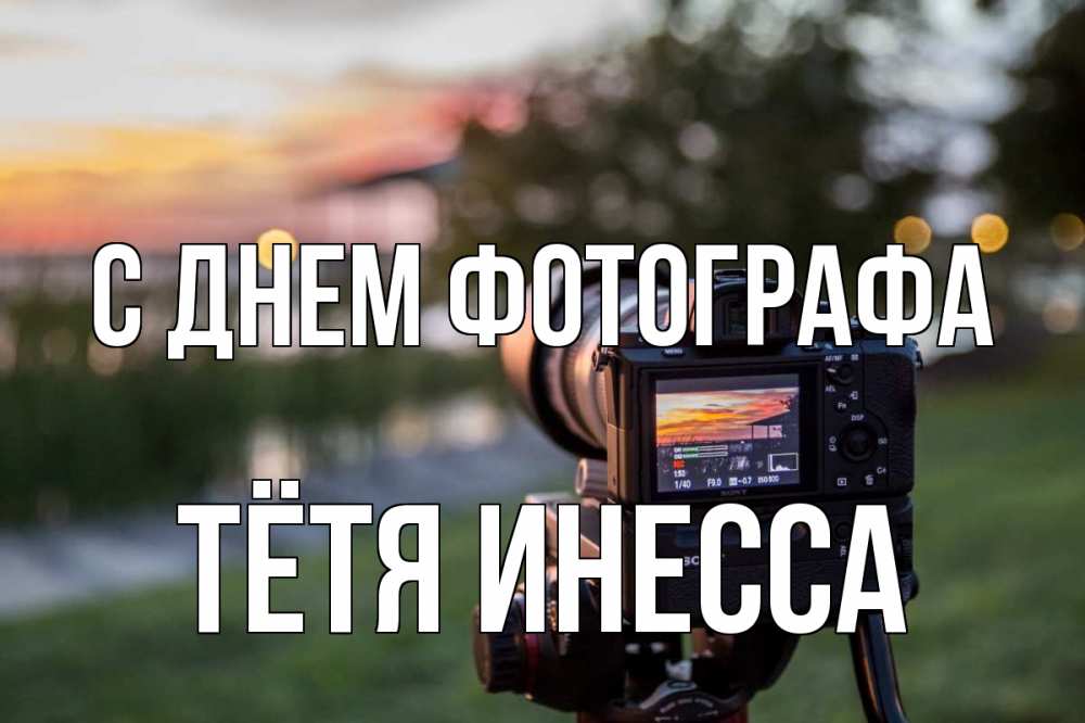 Открытка на каждый день с именем, Тётя-Инесса С днем фотографа с днем фотографа Прикольная открытка с пожеланием онлайн скачать бесплатно 