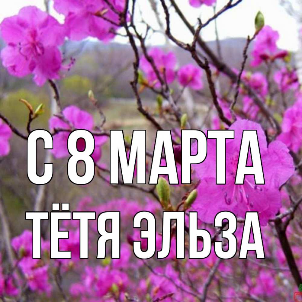 Открытка на каждый день с именем, Тётя-Эльза С 8 МАРТА международный женский день Прикольная открытка с пожеланием онлайн скачать бесплатно 