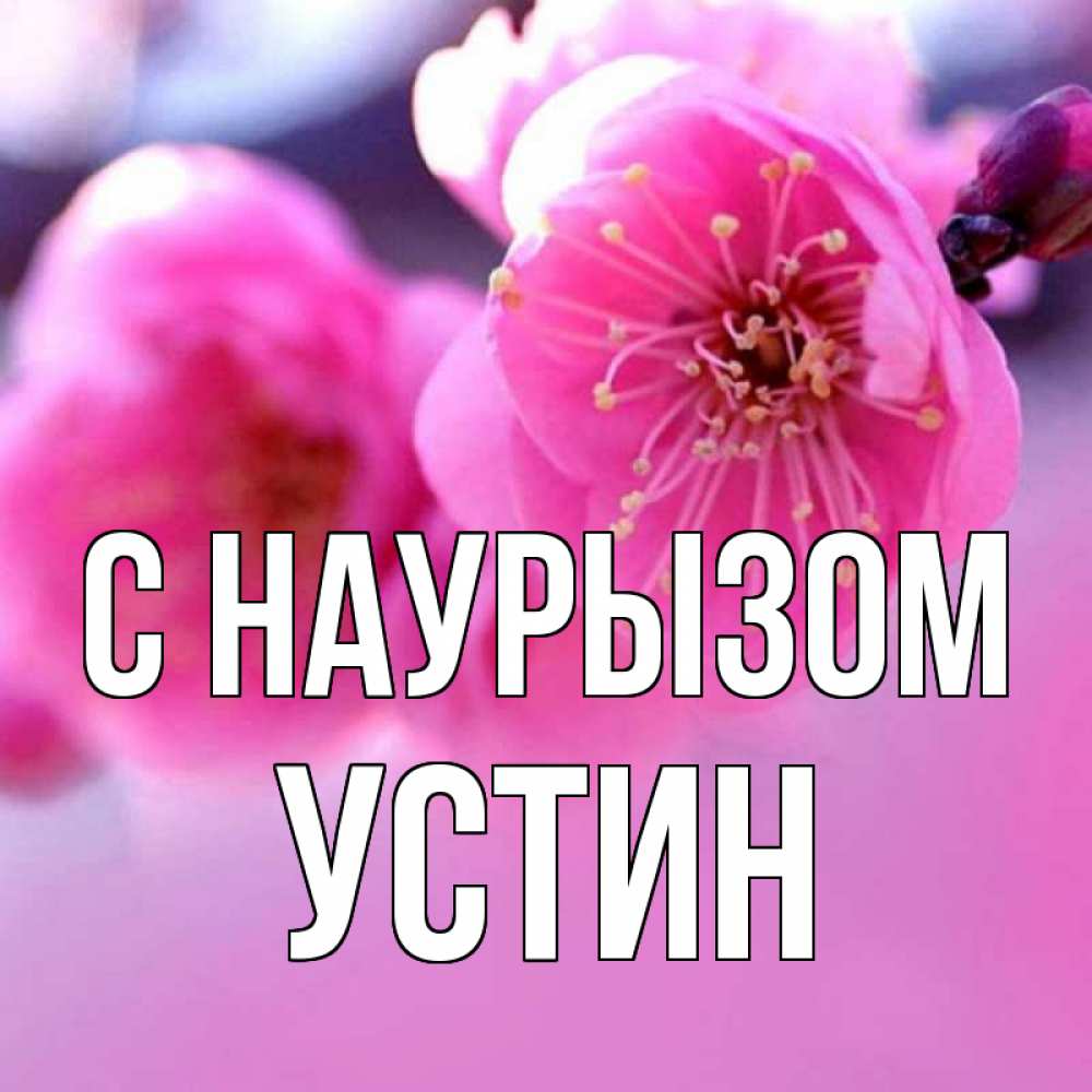 Открытка на каждый день с именем, Устин С наурызом международный женский день Прикольная открытка с пожеланием онлайн скачать бесплатно 