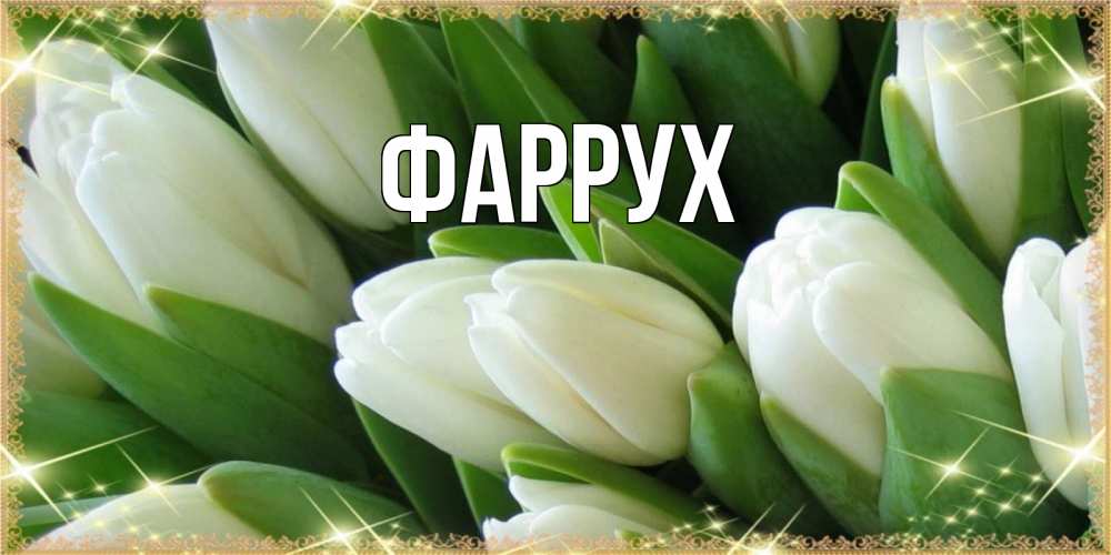 Открытка на каждый день с именем, Фаррух Главная поздравляем с наурызом Прикольная открытка с пожеланием онлайн скачать бесплатно 