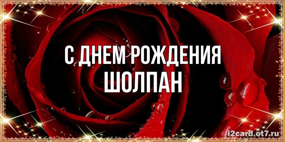 Открытка на каждый день с именем, Шолпан С днем рождения цветок в росе на день рождения Прикольная открытка с пожеланием онлайн скачать бесплатно 