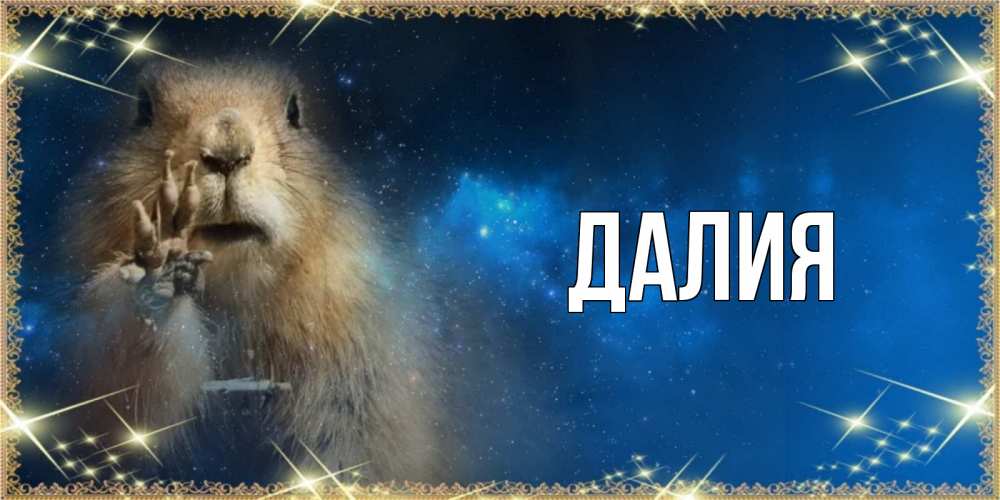 Картинка  с именем , Далия