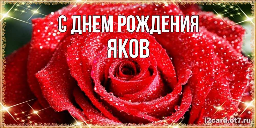 Открытка на каждый день с именем, Яков С днем рождения роса и роза. открытка с красивой розой Прикольная открытка с пожеланием онлайн скачать бесплатно 