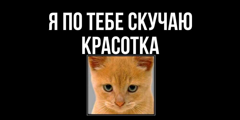 Картинка Я по тебе скучаю, красотка