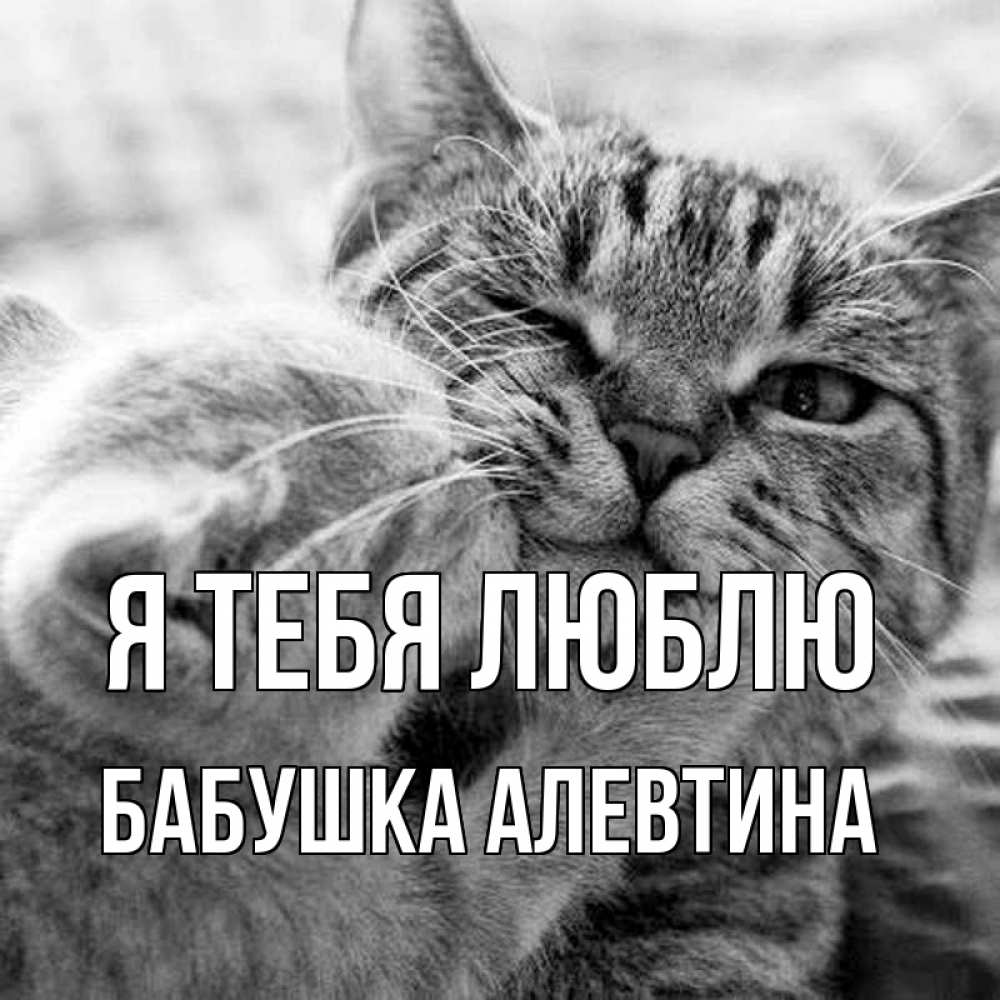 Открытка на каждый день с именем, Бабушка-Алевтина Я тебя люблю коты Прикольная открытка с пожеланием онлайн скачать бесплатно 