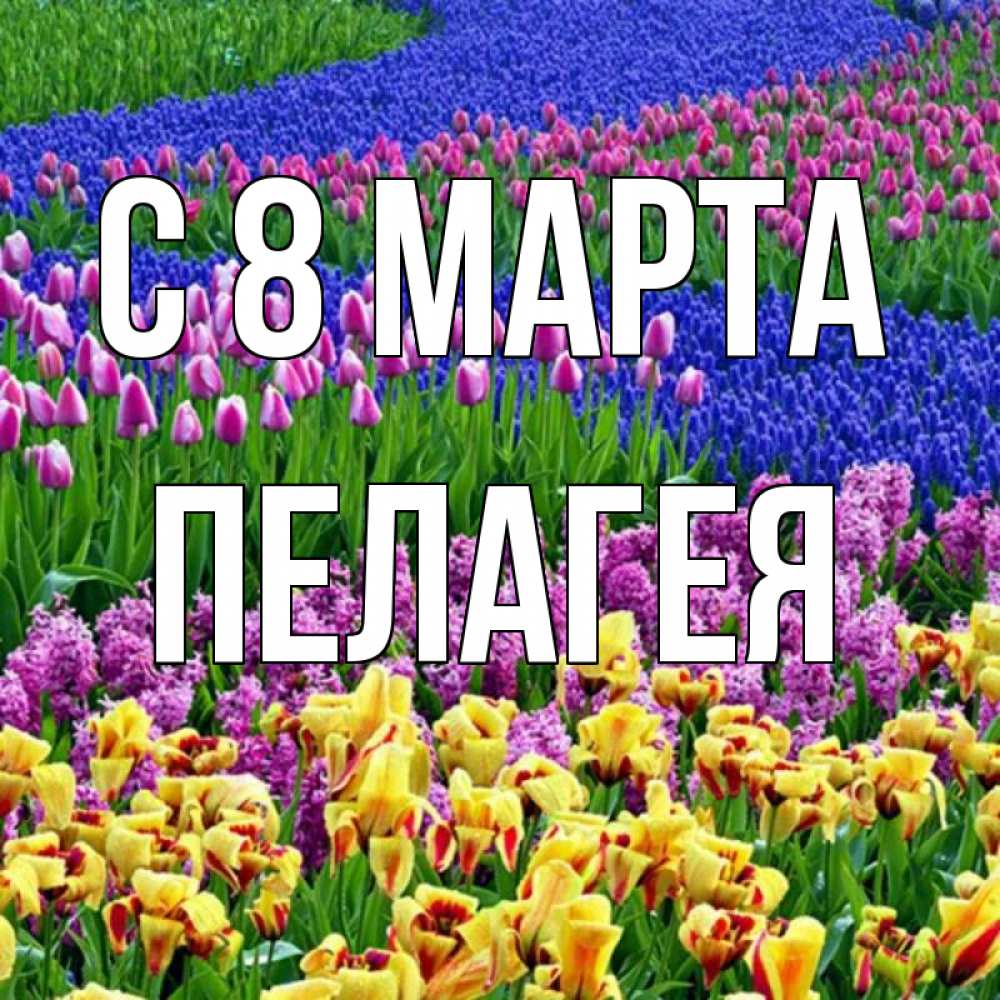 Открытка на каждый день с именем, Пелагея С 8 марта цветы Прикольная открытка с пожеланием онлайн скачать бесплатно 