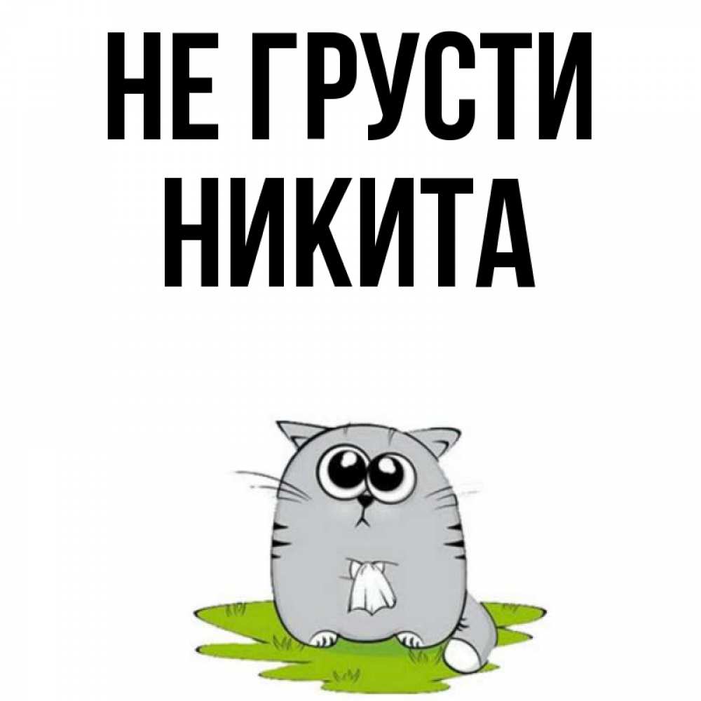 Не никитулька