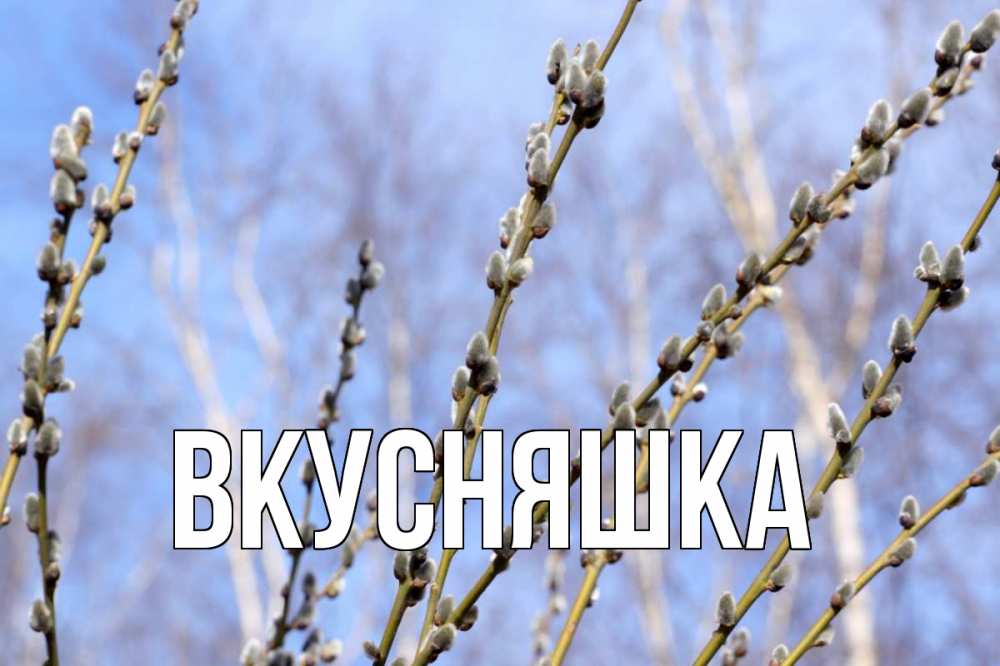 Открытка на каждый день с именем, Вкусняшка Главная верба Прикольная открытка с пожеланием онлайн скачать бесплатно 