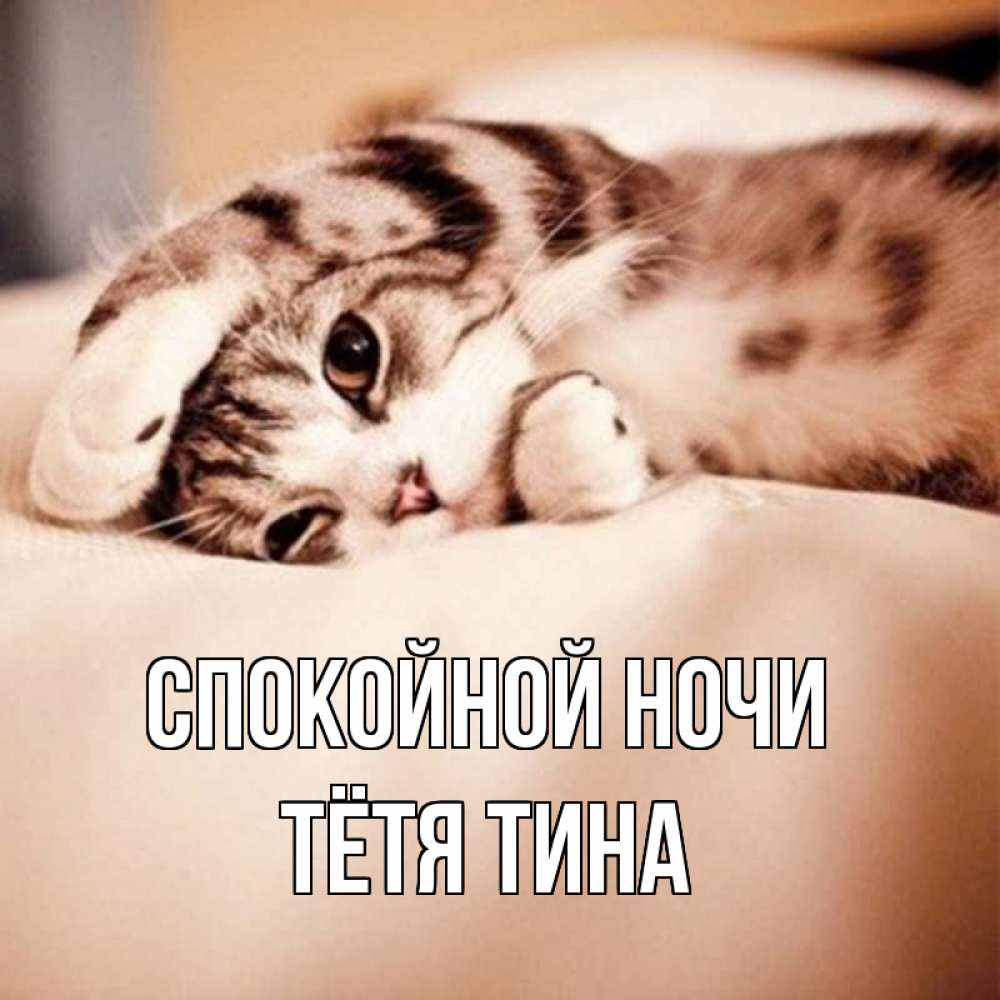 Открытка на каждый день с именем, Тётя-Тина Спокойной ночи сладких снов с животными Прикольная открытка с пожеланием онлайн скачать бесплатно 