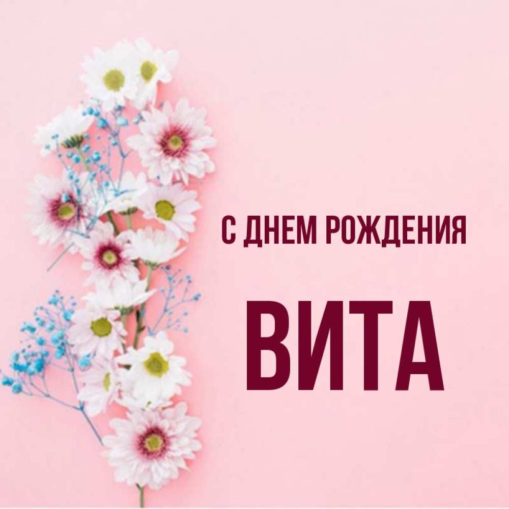 Вита с днем рождения картинки