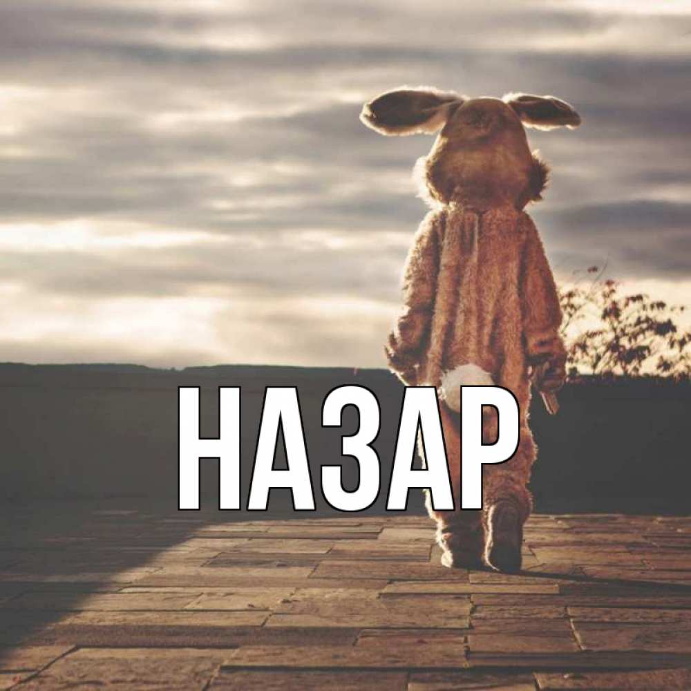 Открытка на каждый день с именем, Назар Главная даже в костюме зайца Прикольная открытка с пожеланием онлайн скачать бесплатно 