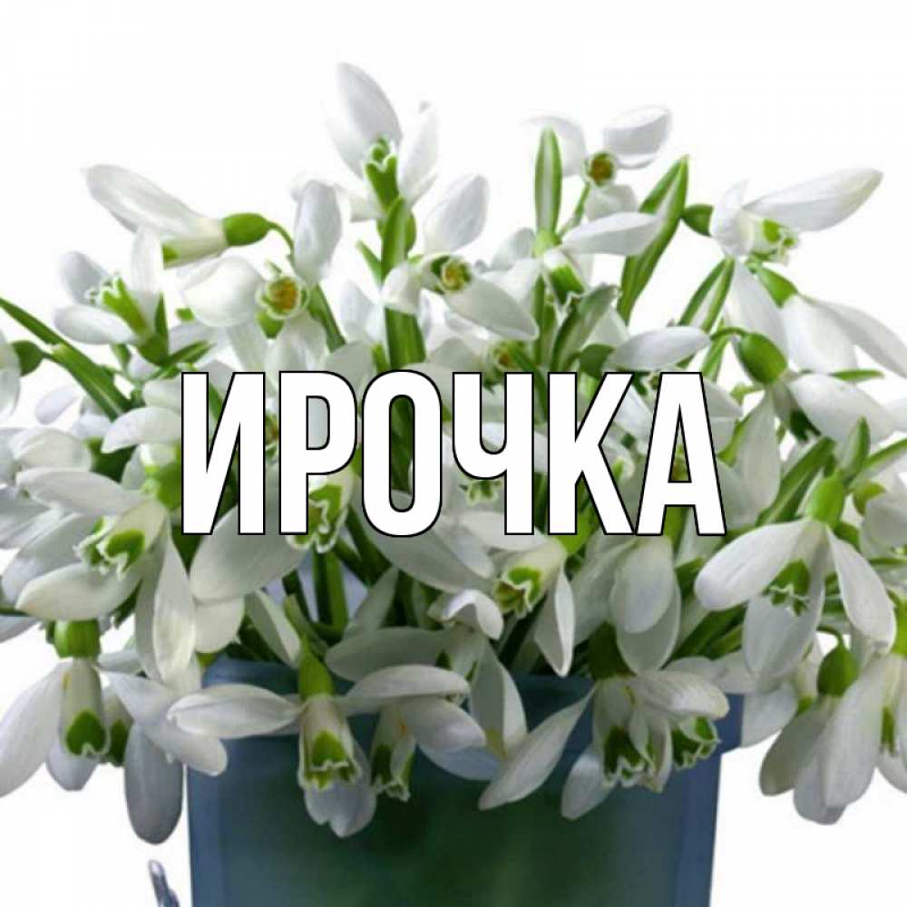 Картинка  с именем , ирочка