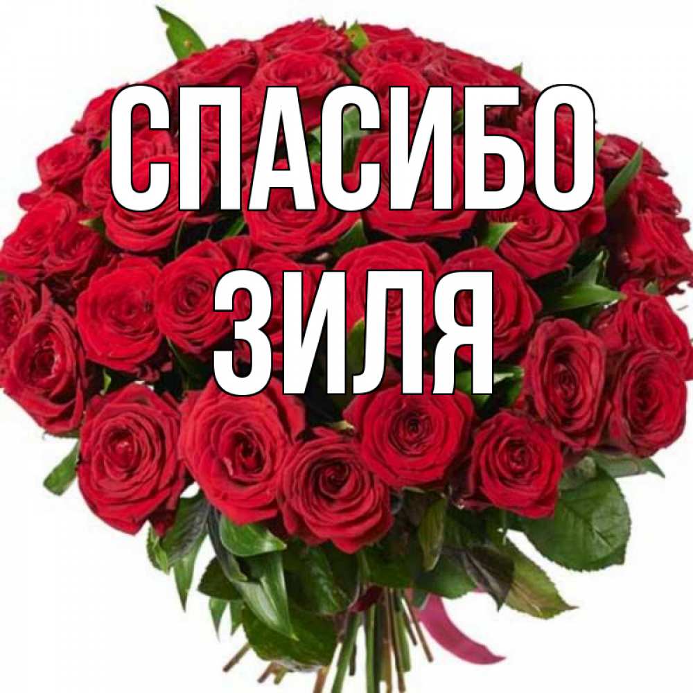 Картинки с именем зиля