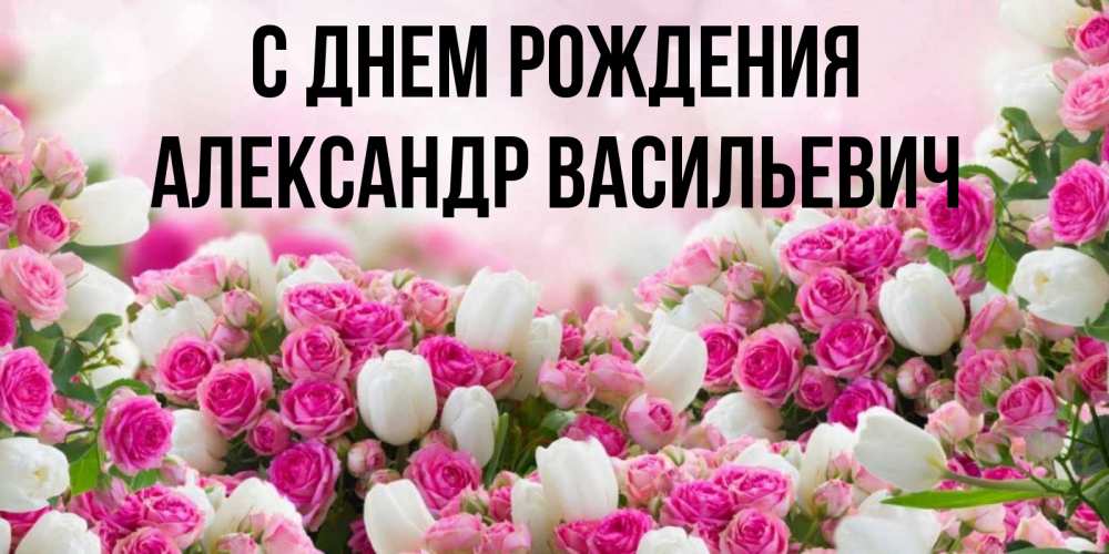 Открытка на каждый день с именем, Александр-Васильевич С днем рождения открытка с разными розами Прикольная открытка с пожеланием онлайн скачать бесплатно 
