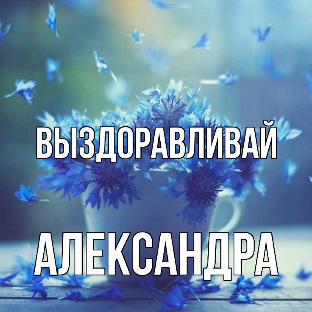 Открытка на каждый день с именем, Александра Выздоравливай кружка с зельем и цветами Прикольная открытка с пожеланием онлайн скачать бесплатно 