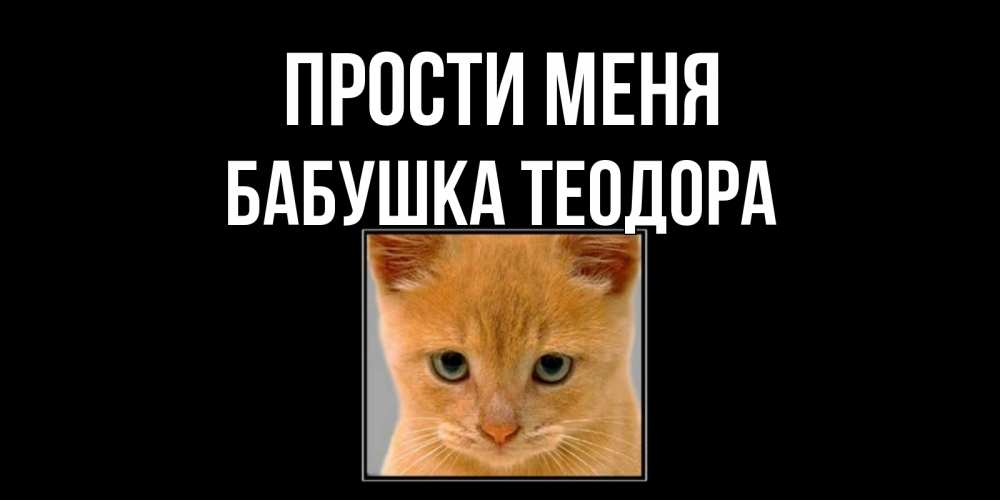 Открытка на каждый день с именем, Бабушка-Теодора Прости меня рыжий грустный кот просит прощения Прикольная открытка с пожеланием онлайн скачать бесплатно 