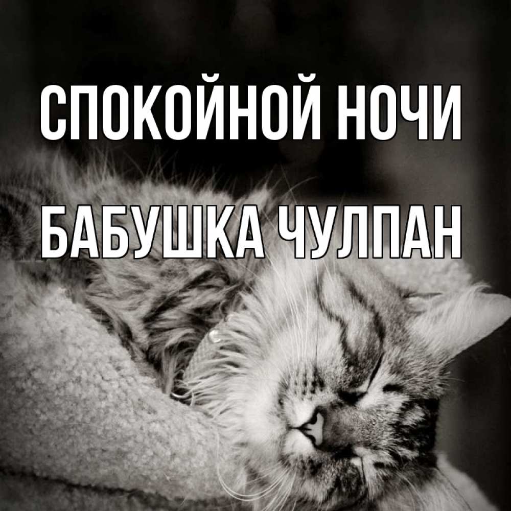 Открытка на каждый день с именем, Бабушка-Чулпан Спокойной ночи котярик пушистый Прикольная открытка с пожеланием онлайн скачать бесплатно 
