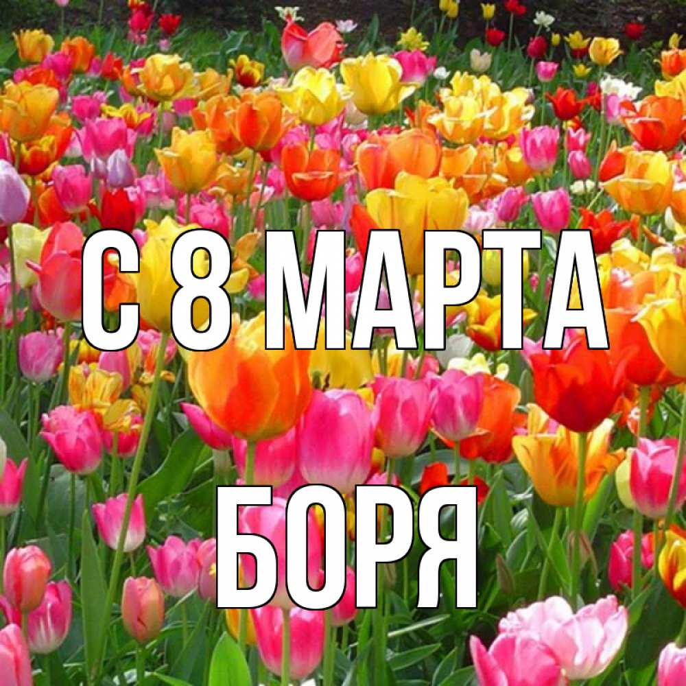 Открытка на каждый день с именем, Боря С 8 марта на международный женский день Прикольная открытка с пожеланием онлайн скачать бесплатно 