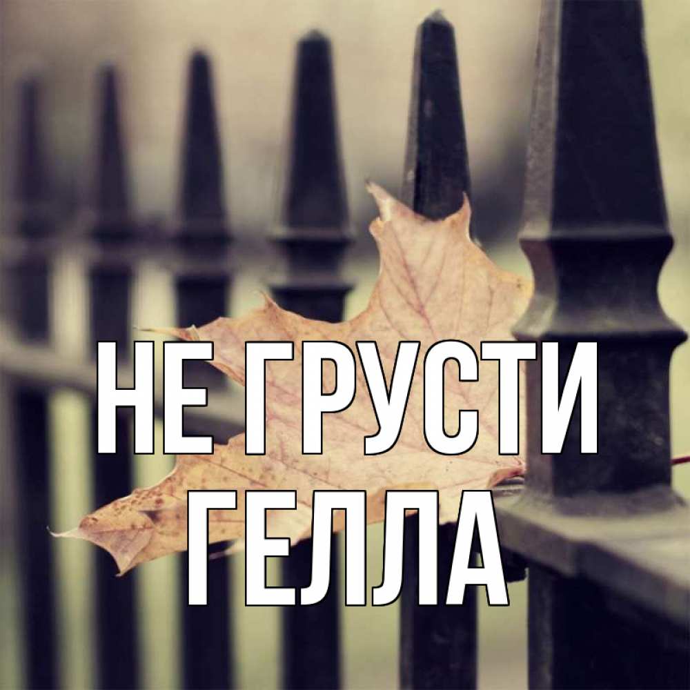 Открытка на каждый день с именем, Гелла Не грусти лист клена Прикольная открытка с пожеланием онлайн скачать бесплатно 