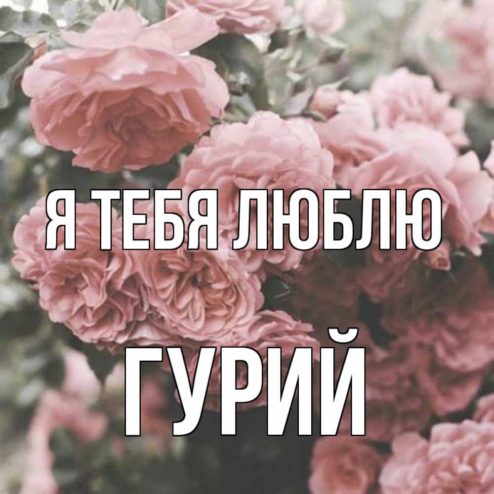 Открытка на каждый день с именем, Гурий Я тебя люблю розы 3 Прикольная открытка с пожеланием онлайн скачать бесплатно 