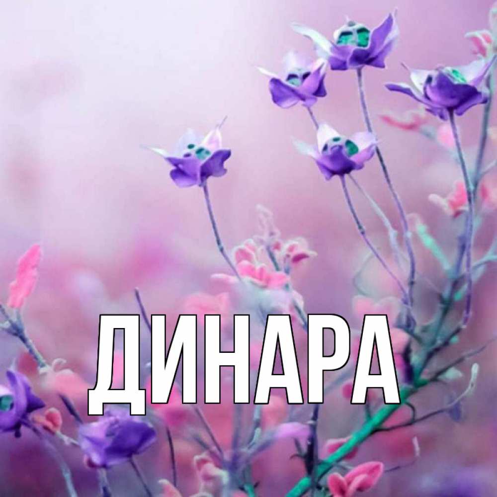 Открытка на каждый день с именем, Динара Главная международный женский день 2 Прикольная открытка с пожеланием онлайн скачать бесплатно 