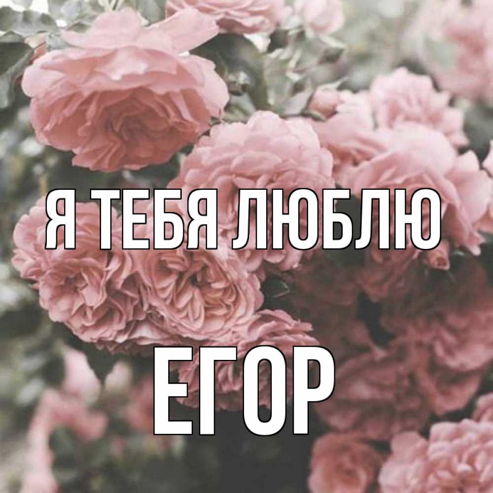 Открытка на каждый день с именем, Егор Я тебя люблю розы 3 Прикольная открытка с пожеланием онлайн скачать бесплатно 
