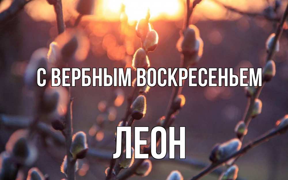Открытка на каждый день с именем, Леон С вербным воскресеньем верба Прикольная открытка с пожеланием онлайн скачать бесплатно 