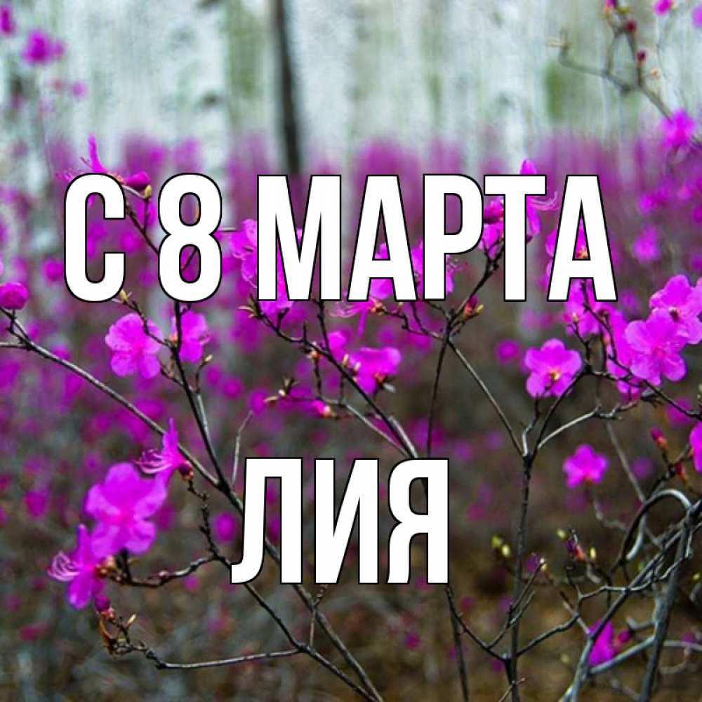 Открытка на каждый день с именем, Лия С 8 МАРТА дикие цветы Прикольная открытка с пожеланием онлайн скачать бесплатно 