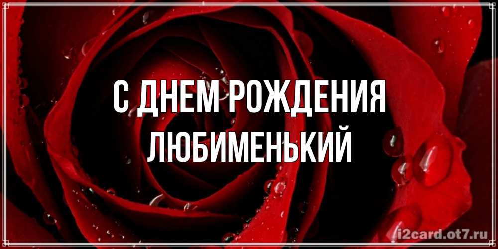 Открытка на каждый день с именем, Любименький С днем рождения крупная бордовая роза Прикольная открытка с пожеланием онлайн скачать бесплатно 