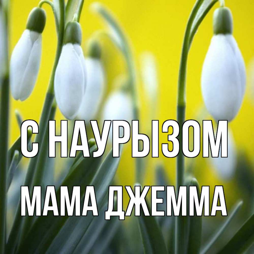 Открытка на каждый день с именем, Мама-Джемма С наурызом весенние цветы Прикольная открытка с пожеланием онлайн скачать бесплатно 