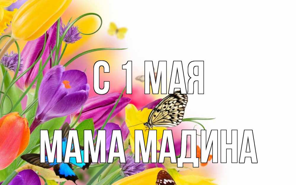 Открытка на каждый день с именем, Мама-Мадина С 1 мая С 1 мая Прикольная открытка с пожеланием онлайн скачать бесплатно 