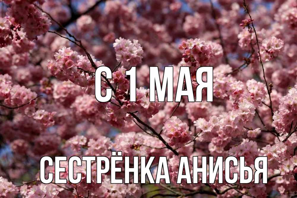 Открытка на каждый день с именем, Сестрёнка-Анисья С 1 мая С 1 мая Прикольная открытка с пожеланием онлайн скачать бесплатно 