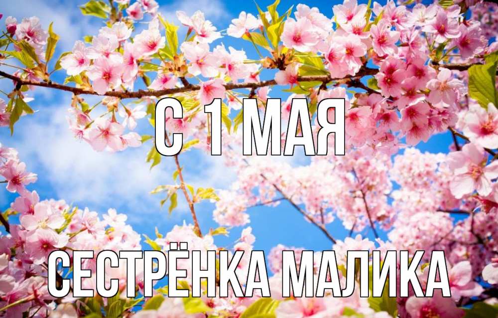 Открытка на каждый день с именем, Сестрёнка-Малика С 1 мая С 1 мая Прикольная открытка с пожеланием онлайн скачать бесплатно 
