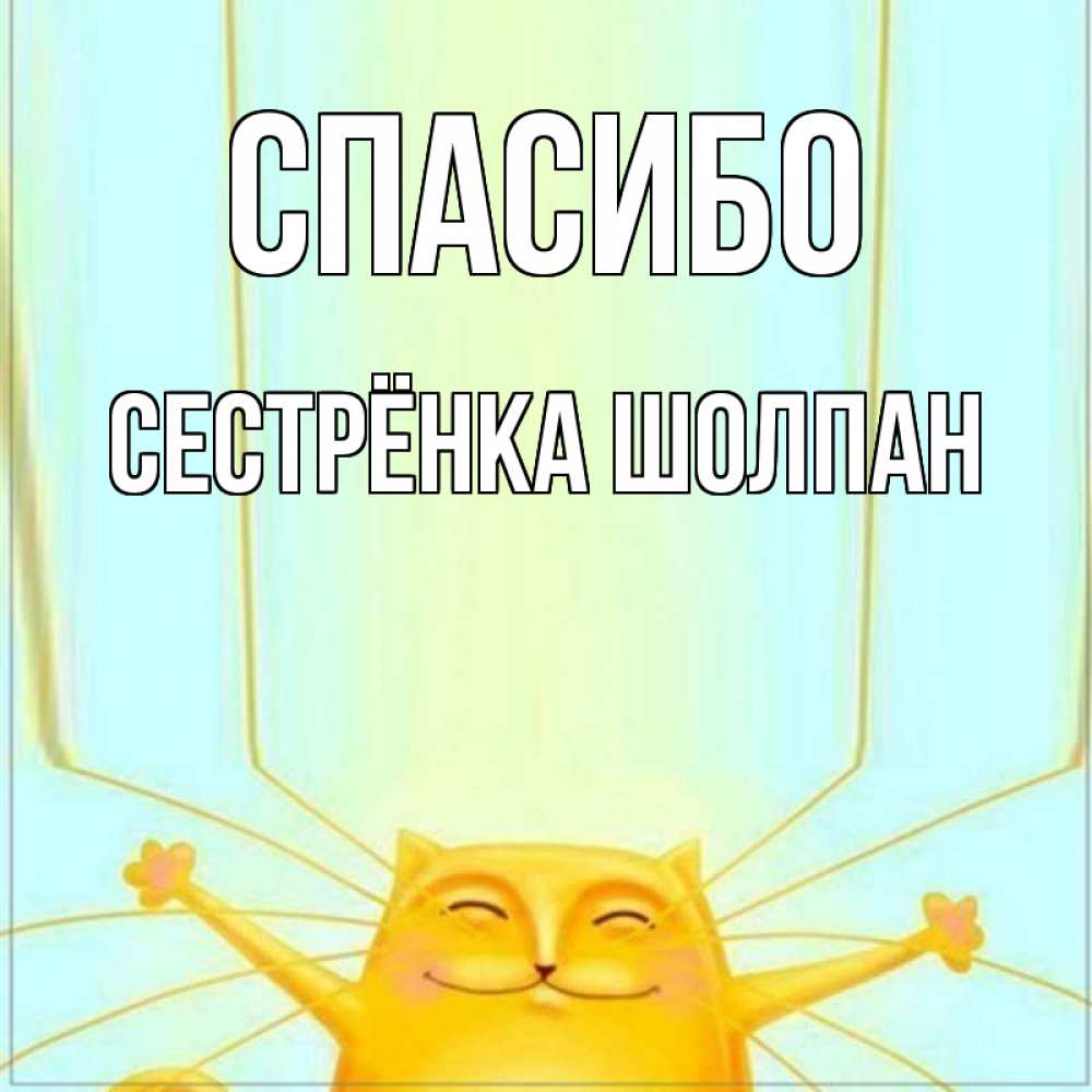 Открытка на каждый день с именем, Сестрёнка-Шолпан Спасибо кот с усами благодарит Прикольная открытка с пожеланием онлайн скачать бесплатно 