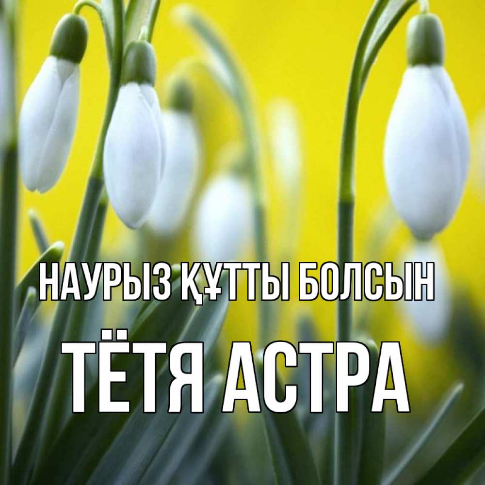 Открытка на каждый день с именем, Тётя-Астра Наурыз құтты болсын весенние цветы Прикольная открытка с пожеланием онлайн скачать бесплатно 