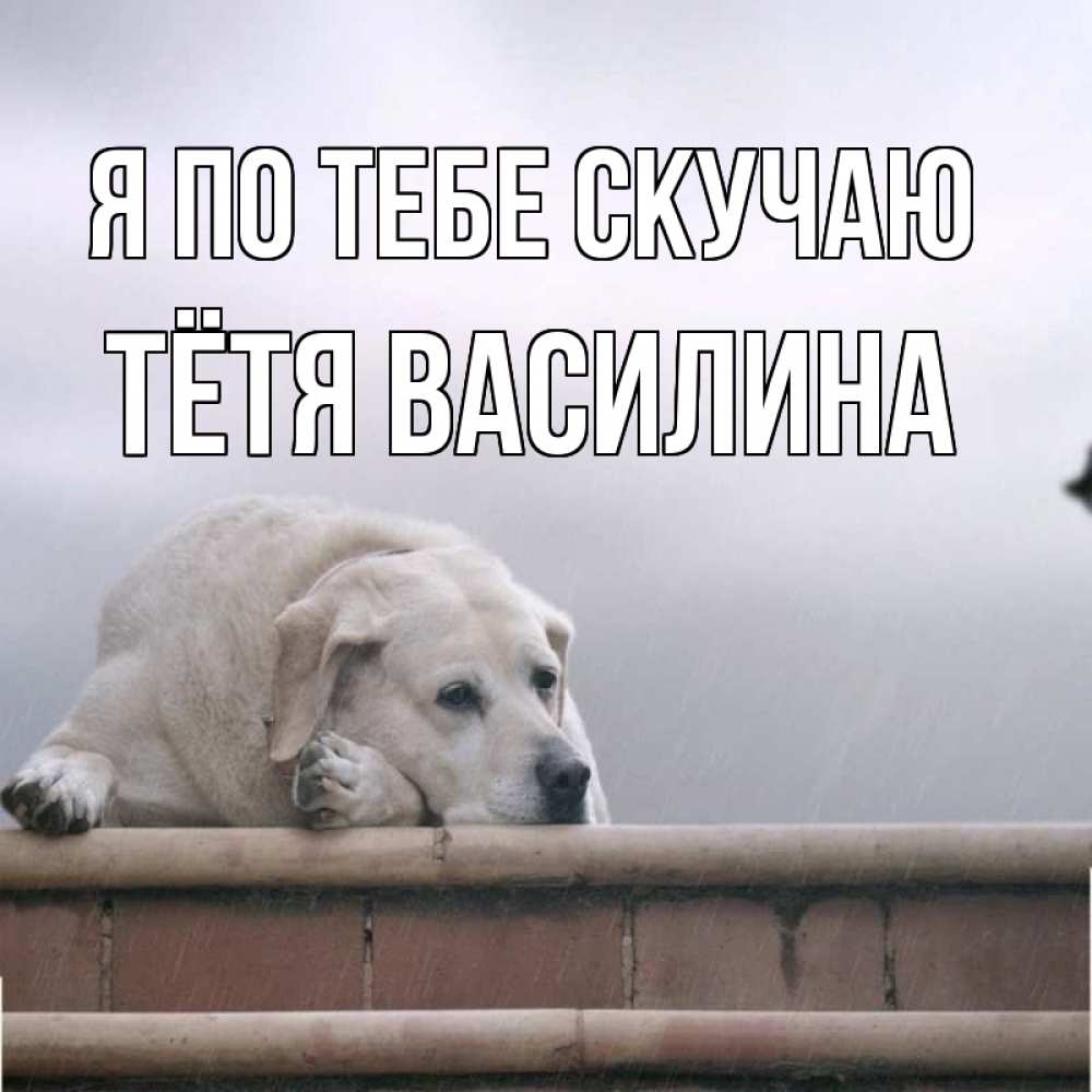 Открытка на каждый день с именем, Тётя-Василина Я по тебе скучаю ждет Прикольная открытка с пожеланием онлайн скачать бесплатно 