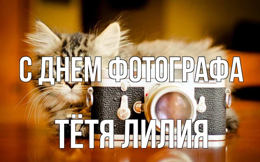 Открытка на каждый день с именем, Тётя-Лилия С днем фотографа с днем фотографа Прикольная открытка с пожеланием онлайн скачать бесплатно 