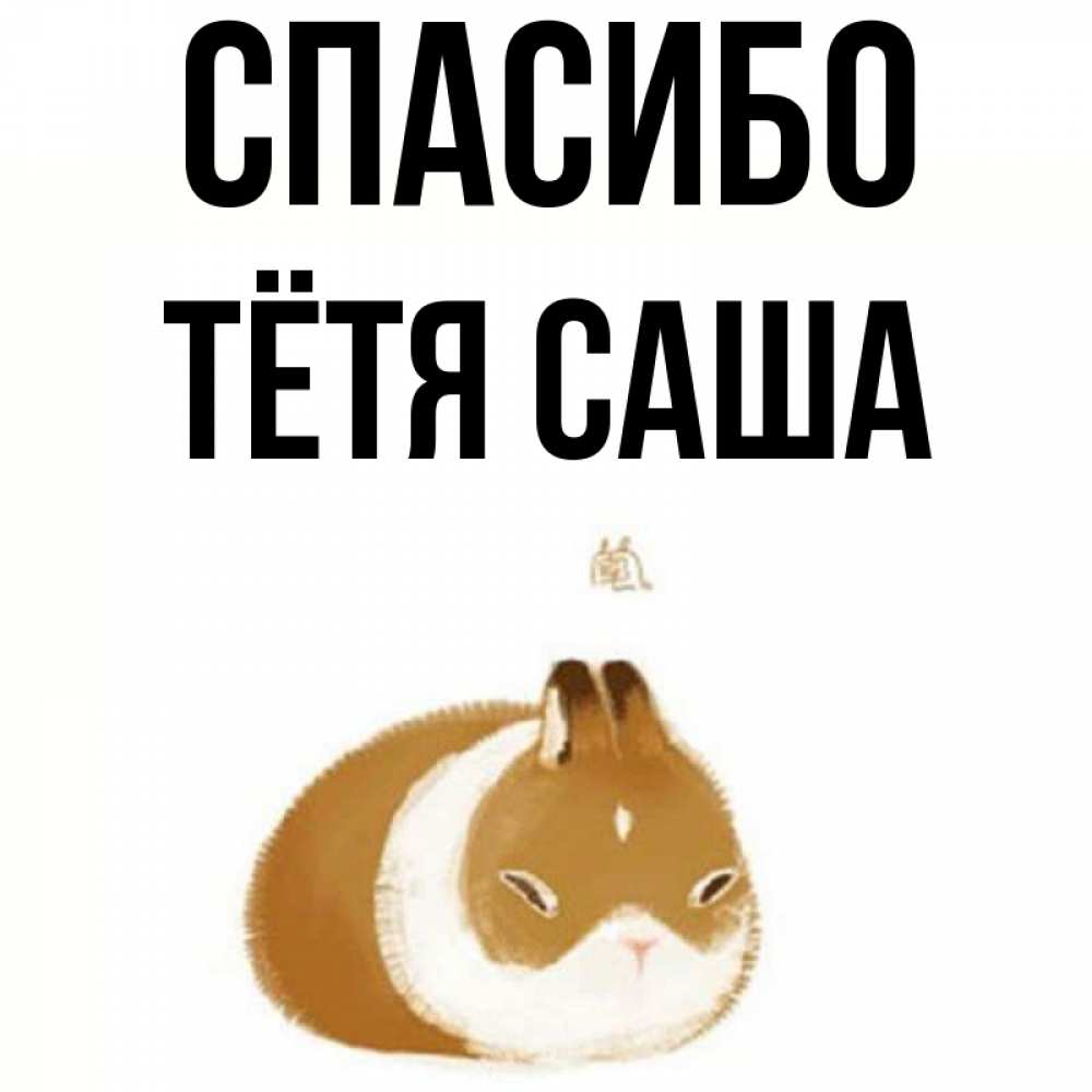Открытка на каждый день с именем, Тётя-Саша Спасибо коричнево белый домашний питомец Прикольная открытка с пожеланием онлайн скачать бесплатно 
