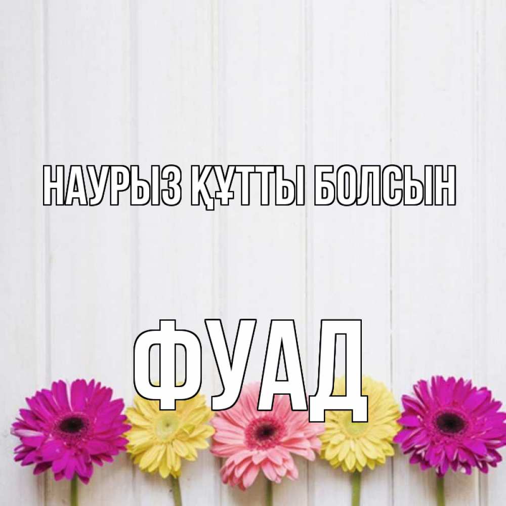 Открытка на каждый день с именем, Фуад Наурыз құтты болсын женщинам 1 Прикольная открытка с пожеланием онлайн скачать бесплатно 