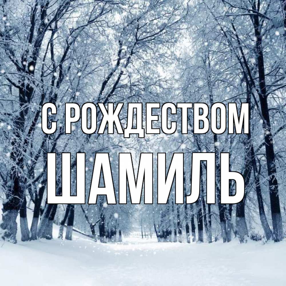 Открытка на каждый день с именем, Шамиль С рождеством снег, лес, парк Прикольная открытка с пожеланием онлайн скачать бесплатно 