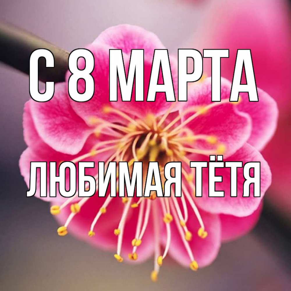 Открытка на каждый день с именем, любимая-Тётя С 8 марта цветы Прикольная открытка с пожеланием онлайн скачать бесплатно 