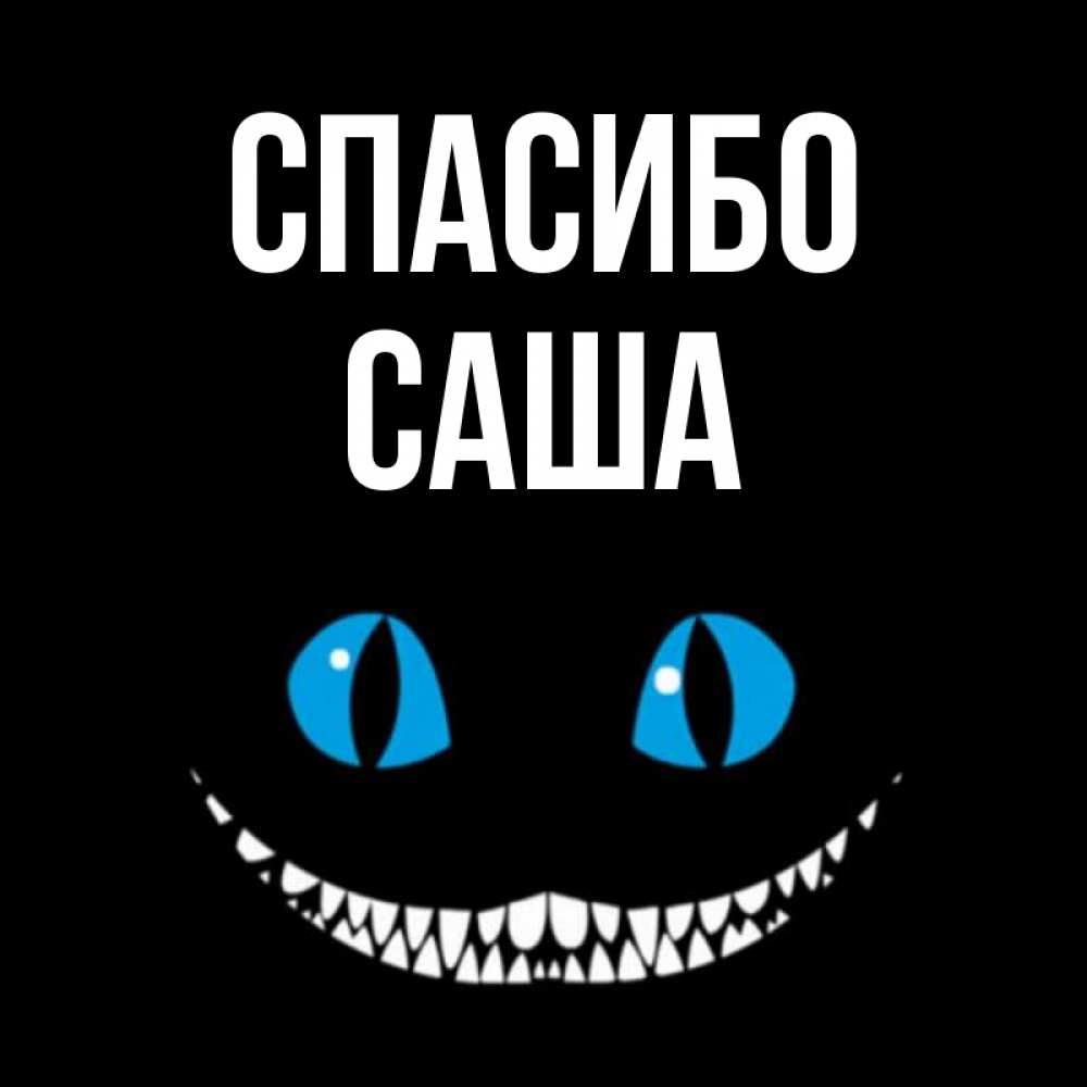 Саша Спасибо