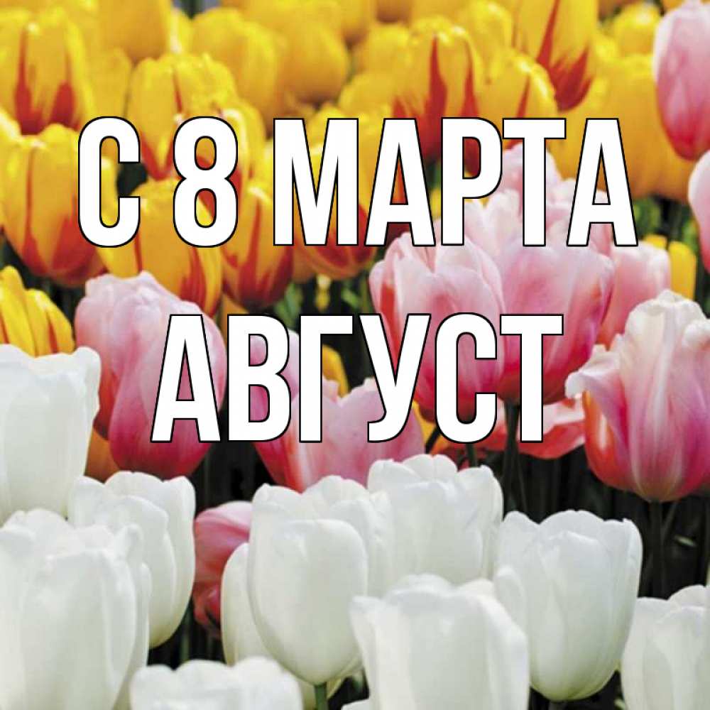Открытка на каждый день с именем, Август С 8 МАРТА разноцветные цветы Прикольная открытка с пожеланием онлайн скачать бесплатно 