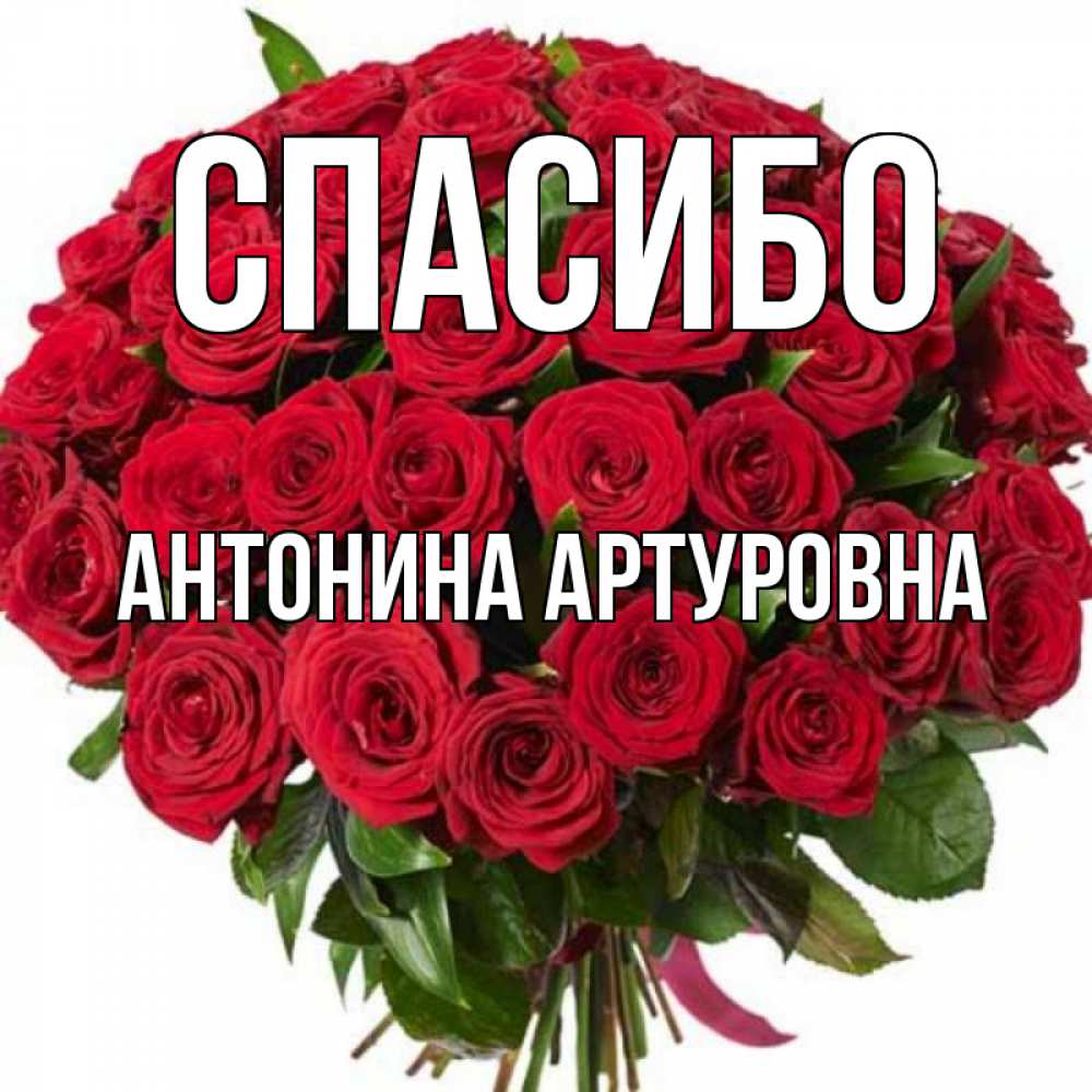 С Днем Рождения Антонина Картинки