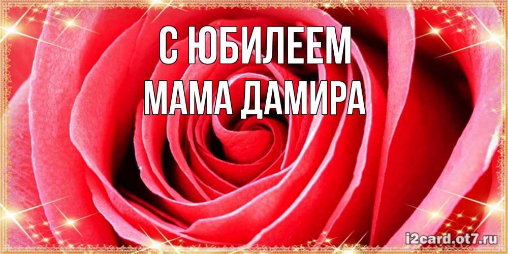 Открытка на каждый день с именем, Мама-Дамира С юбилеем розовая роза очень крупный бутон Прикольная открытка с пожеланием онлайн скачать бесплатно 