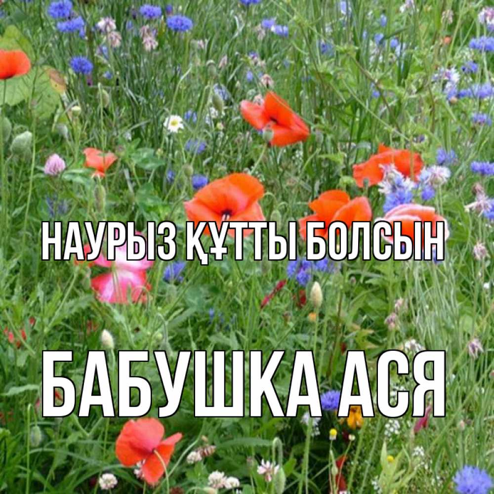 Открытка на каждый день с именем, Бабушка-Ася Наурыз құтты болсын наурыз  4 Прикольная открытка с пожеланием онлайн скачать бесплатно 