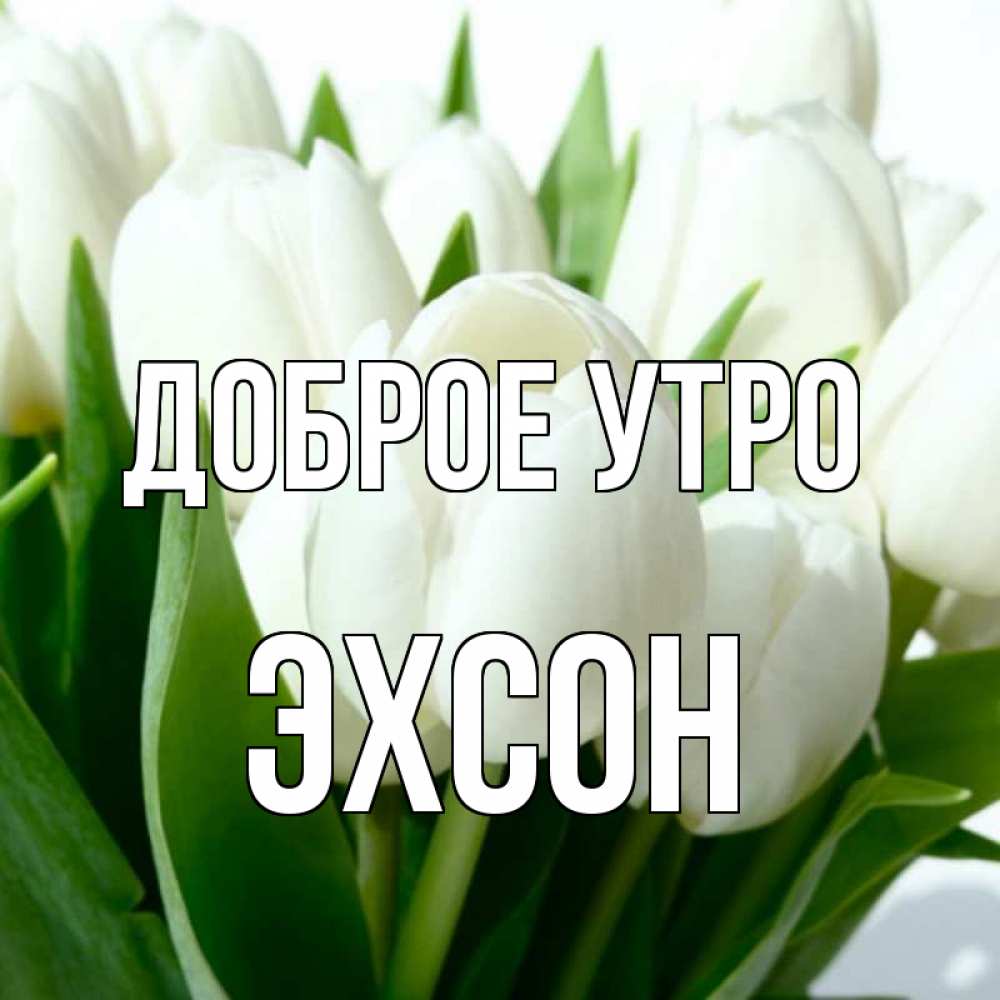 Кума С Добрым Утром