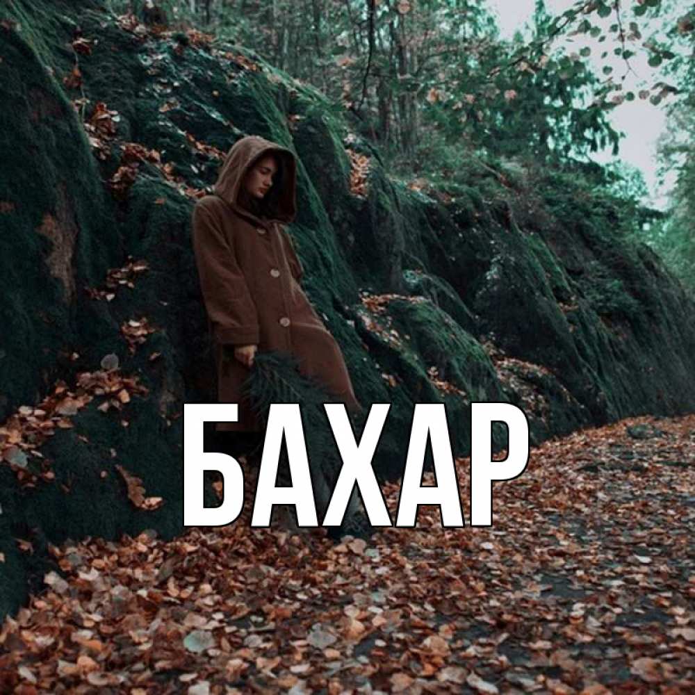 Открытка на каждый день с именем, Бахар Главная осенний лес Прикольная открытка с пожеланием онлайн скачать бесплатно 